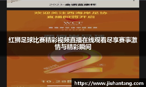 龙珠足球直播