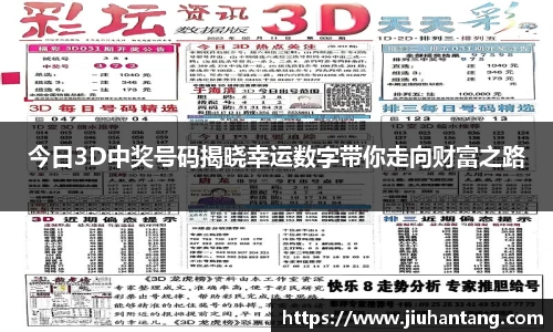 今日3D中奖号码揭晓幸运数字带你走向财富之路