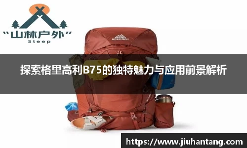 龙珠体育