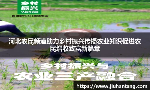 河北农民频道助力乡村振兴传播农业知识促进农民增收致富新篇章