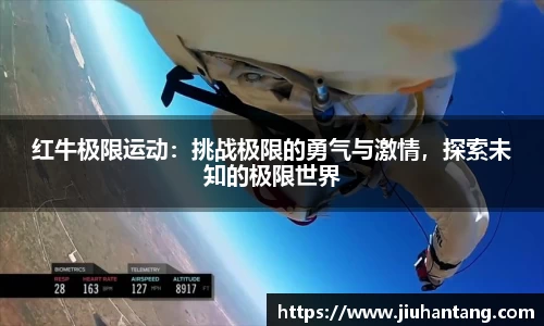 龙珠体育