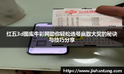 龙珠体育直播