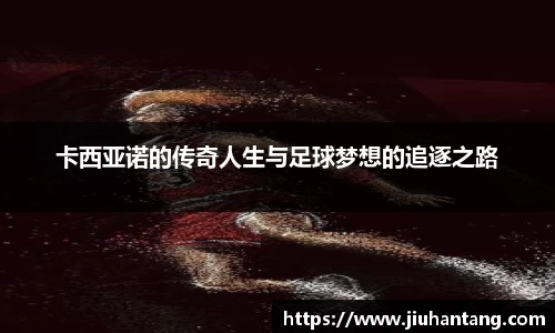 龙珠体育直播