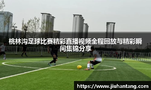 龙珠体育直播