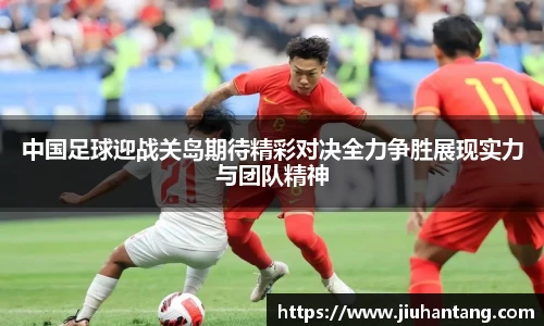 龙珠体育